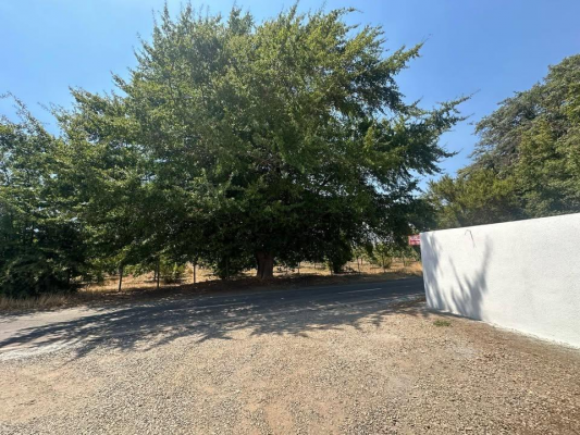 venta-de-parcelas-5000mts-planas,-ocoa,-hijuelas-9