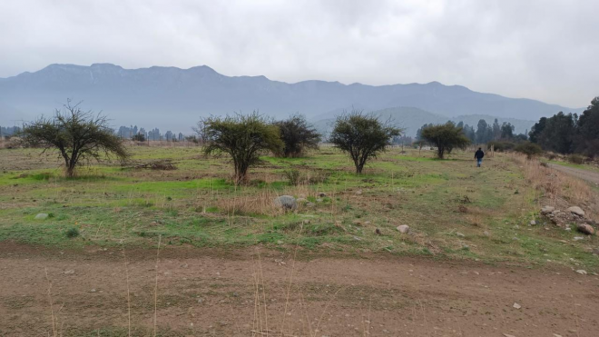 parcela-en-club-de-golf-angostura-5012m2-6