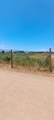parcela-5000m2-en-graneros-en-venta-7