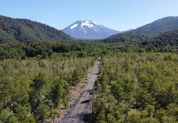 se-venden-hermosos-terrenos-5000m2-malalcahuello-4