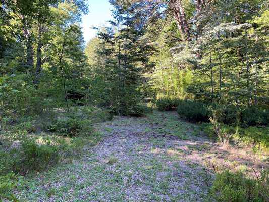 se-venden-hermosos-terrenos-5000m2-malalcahuello-6