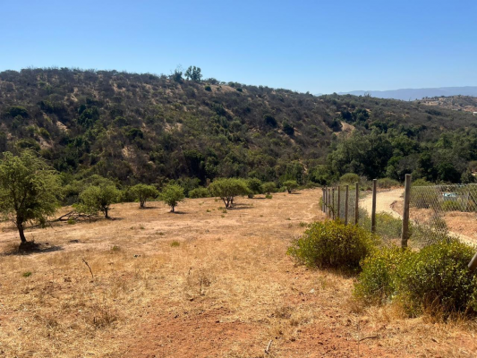 venta-parcela-5000m2-con-tiny-house-limache-3