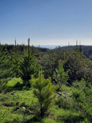 parcela-con-vistas-panoramicas-(158454)-3