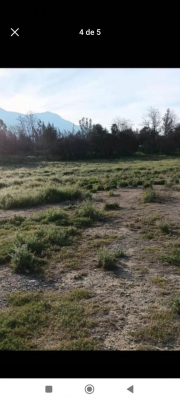 se-vende-gran-terreno-con-un-gran-galpon-5