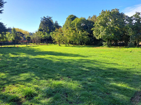 vendo-parcela-comercial-botrolhue-temuco-(150793)-9