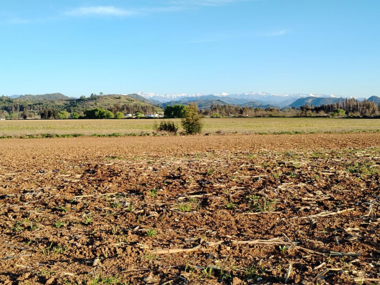 33,5-ha-aprovechables,-plano,-agua,-san-clemen-4