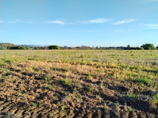 33,5-ha-aprovechables,-plano,-agua,-san-clemen-6