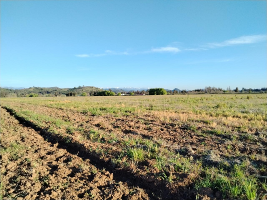 33,5-ha-aprovechables,-plano,-agua,-san-clemen-8