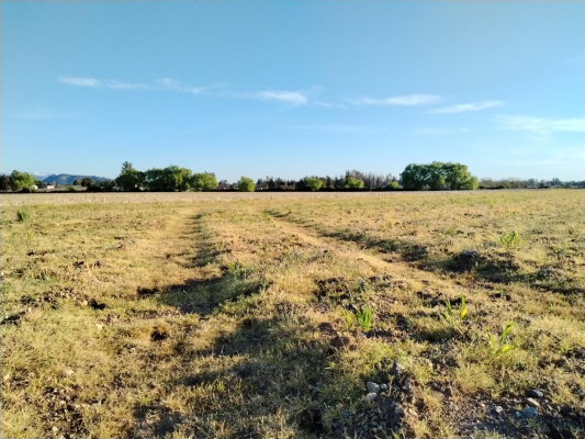 33,5-ha-aprovechables,-plano,-agua,-san-clemen-9