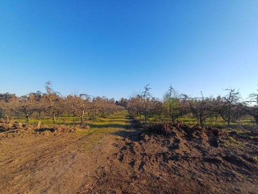 parcelas-de-agrado-en-venta,-molina-5