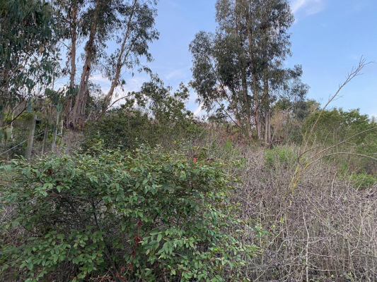 propiedad-en-venta-con-amplio-terreno,-san-juan-8