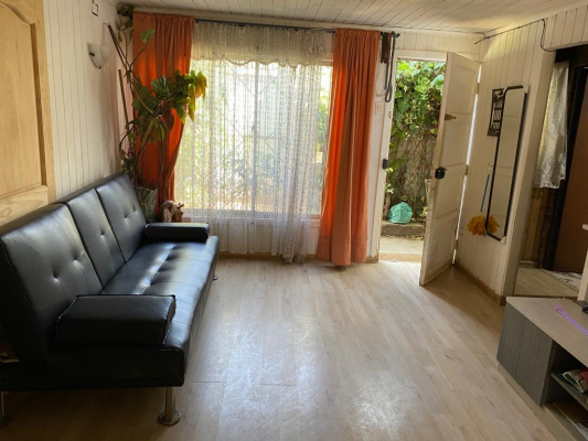 se-vende-propiedad-con-arboleda-nativa-4