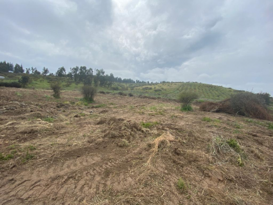 parcela-en-venta-de-10000-mts-en-santo-domingo-3