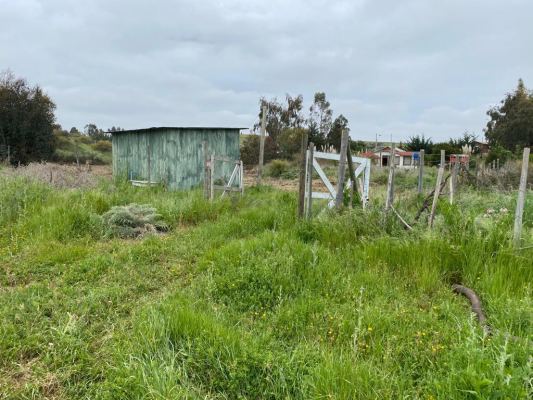 parcela-en-venta-de-10000-mts-en-santo-domingo-4