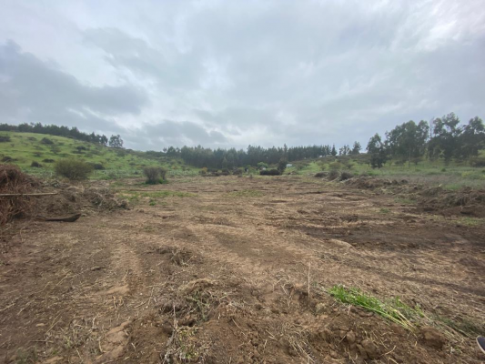 parcela-en-venta-de-10000-mts-en-santo-domingo-6