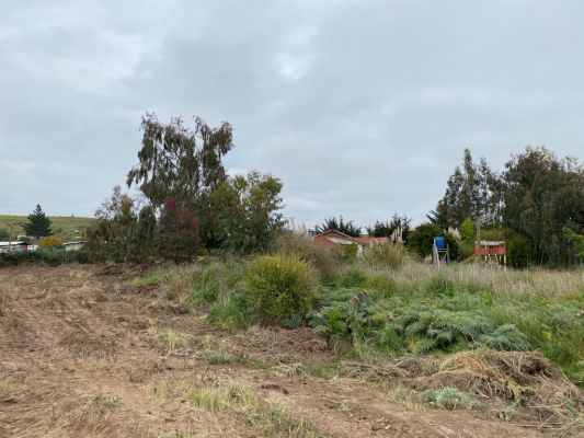 parcela-en-venta-de-10000-mts-en-santo-domingo-8
