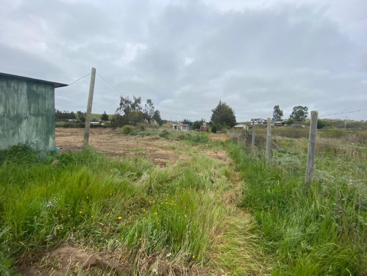 parcela-en-venta-de-10000-mts-en-santo-domingo-9