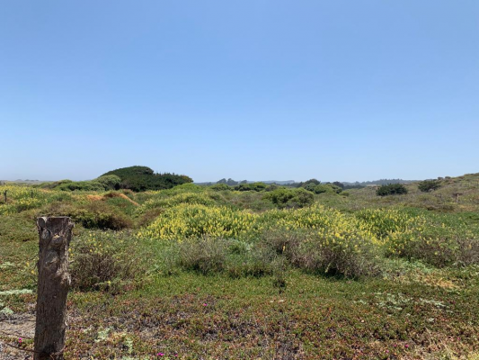 parcela-en-venta-a-orillas-de-playa,-pichilemu-4