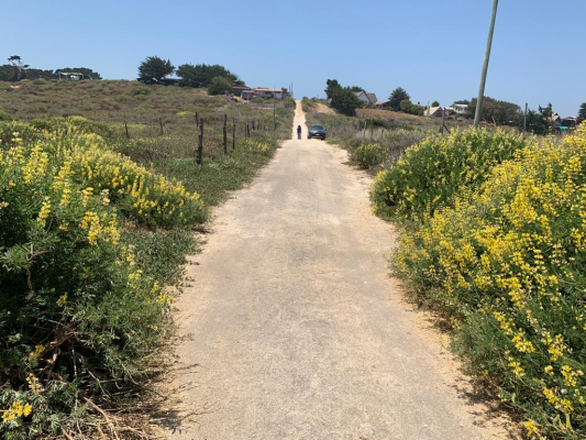parcela-en-venta-a-orillas-de-playa,-pichilemu-6