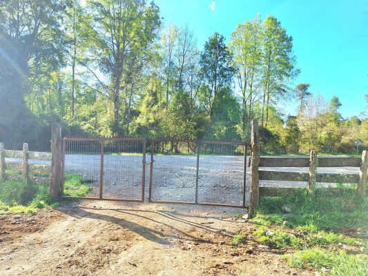 lago-ranco-camino-a-rio-bueno-vendo-5000-mts2-s-7