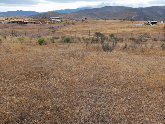 venta-terreno-5000-mts2--talhuen-ovalle-4