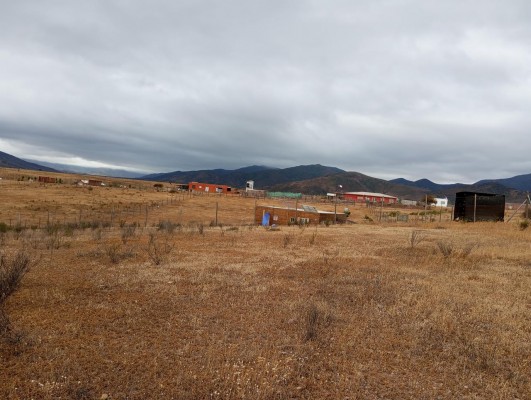 venta-terreno-5000-mts2--talhuen-ovalle-7