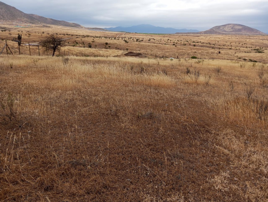 venta-terreno-5000-mts2--talhuen-ovalle-8