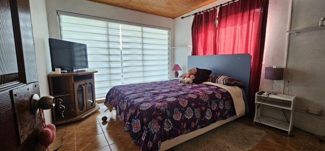 gran-oportunidad-negocio-mas-casa-habitacional-5