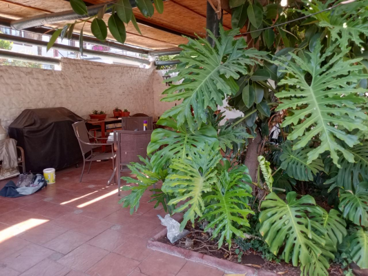casa-muy-bien-tenida-llegar-y-habitar-8