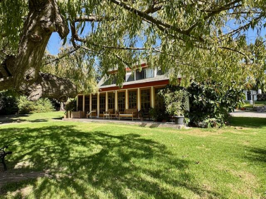parcela-de-10000m2-con-casa-y-7000m2-de-almendros-6