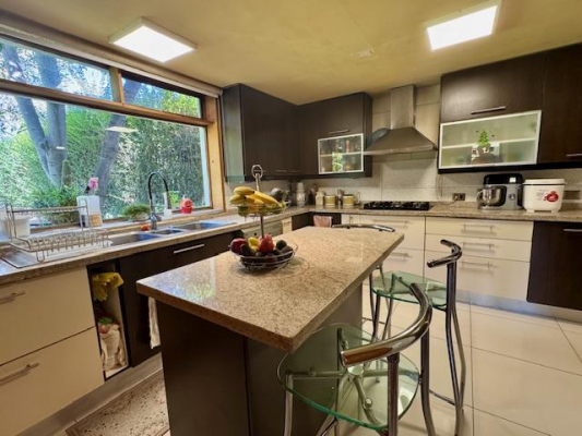 parcela-de-10000m2-con-casa-y-7000m2-de-almendros-8