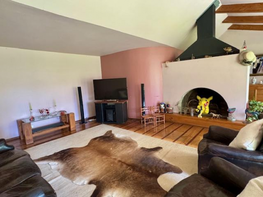 parcela-de-10000m2-con-casa-y-7000m2-de-almendros-9