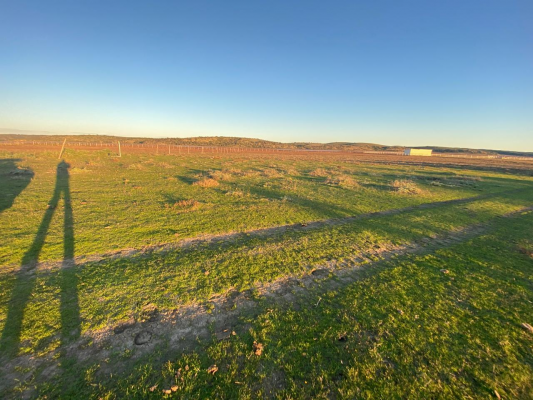 se-vende-parcela-en-el-sector-del-yali,-santo-d-4