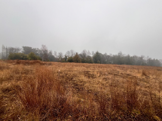 amplio-terreno-urbano-para-inversion-3
