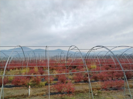 -14