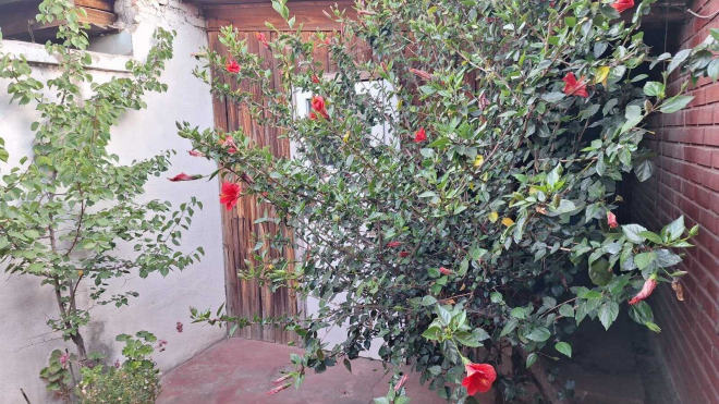 amplia-casa-familiar-con-jardin-privado-(142207)-7
