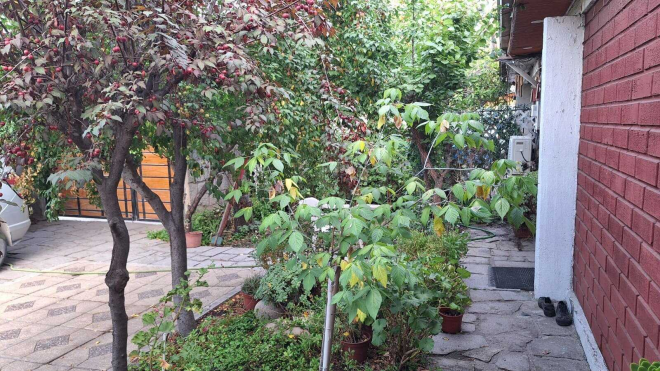 amplia-casa-familiar-con-jardin-privado-(142207)-8