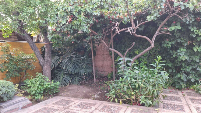 amplia-casa-familiar-con-jardin-privado-(142207)-9