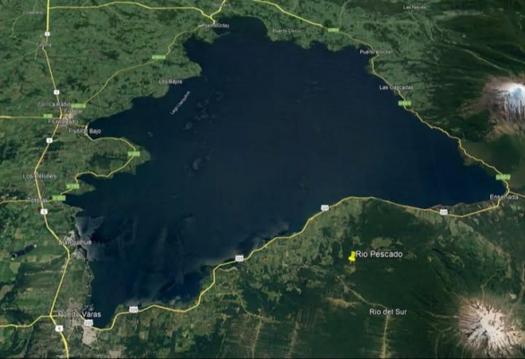 venta-1-hectarea-con-bosque-nativo-afueras-de-p-4