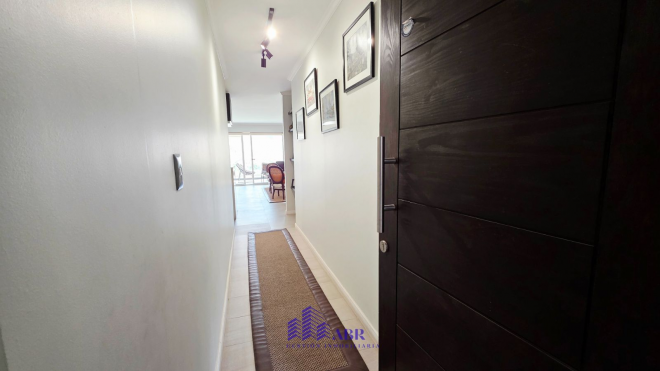 p20267833piq-3