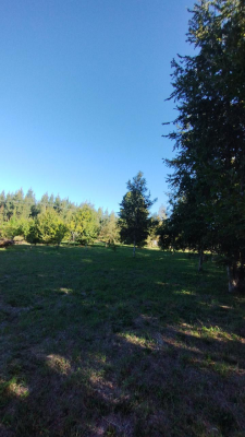 oferton-parcela-500-mt-con-casa-sector-poaucho--6
