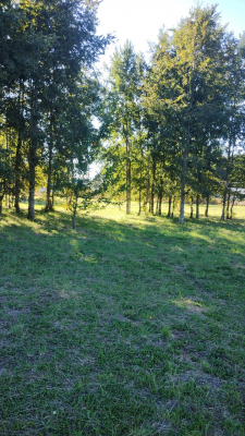 oferton-parcela-500-mt-con-casa-sector-poaucho--9