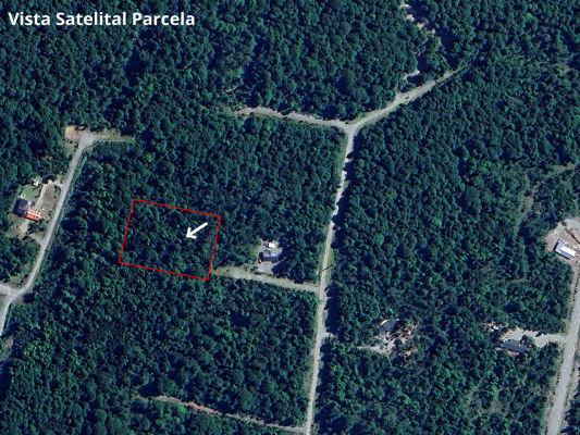 parcela-5100-m2-en-venta,-con-bosque-nativo,-pu-8