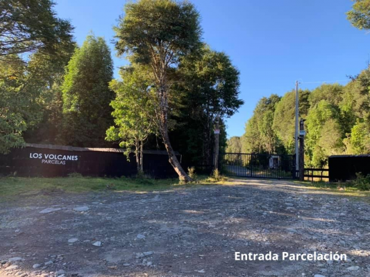parcela-5100-m2-en-venta,-con-bosque-nativo,-pu-9