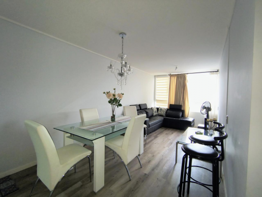 acogedor-departamento-con-estacionamiento-en-ch-7