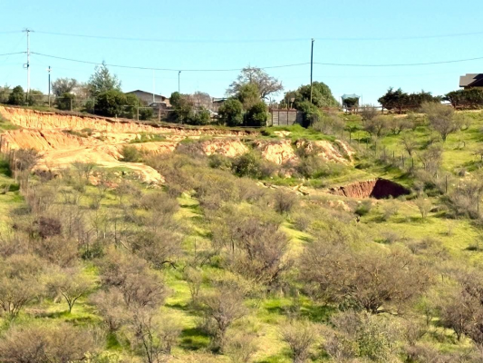 en-venta-parcela-en-limache-de-5000-mts-6