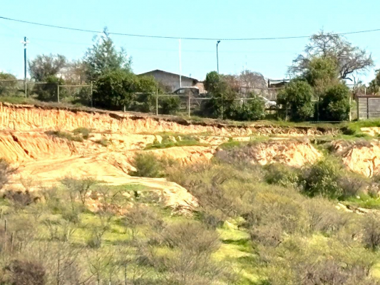 en-venta-parcela-en-limache-de-5000-mts-7