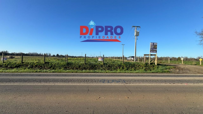 se-vende-sitio-industrial-orilla-de-camino-9