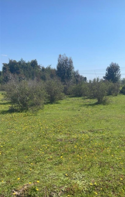 vende-parcelas-de-2-hectareas-con-rol,-en-talca-7