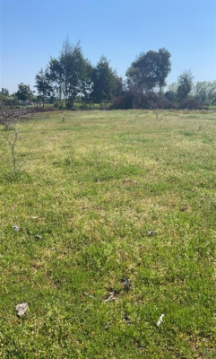 vende-parcelas-de-2-hectareas-con-rol,-en-talca-9